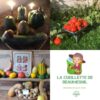 Kit Potager 100% BIO « Des Airs de Normandie »